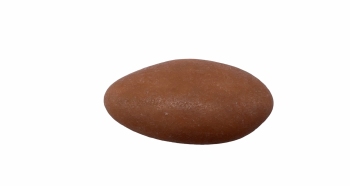 Suikerboon Leembruin 1 kg