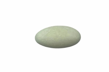 Suikerboon Watergroen 1 kg