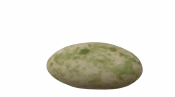 Suikerboon Gravel Groen 1 kg