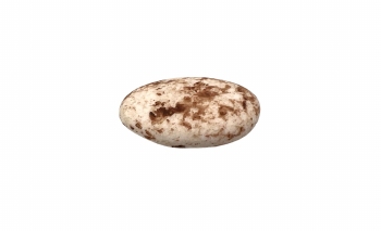 Suikerboon Hazelnoot Marmer 1 kg
