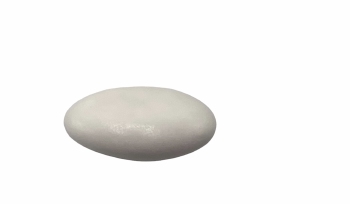 Suikerboon Wit Gelakt 1 kg