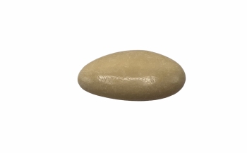 Suikerboon Beige Gelakt 1 kg