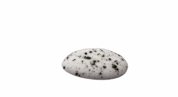 Suikerboon Steenwit Marmer 1 kg