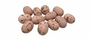 Deluxe Cookie Choc's Oudroos met Bruine Spikkel 1 kg