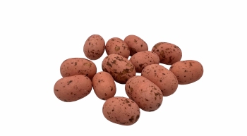 Deluxe Cookie Choc's Perzik met Bruine Spikkel 1 kg