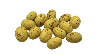 Deluxe Cookie Choc's Geel met Bruine Spikkel 1 kg