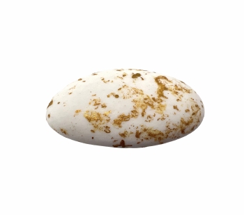 Suikerboon Wit Goud Marmer 1 kg